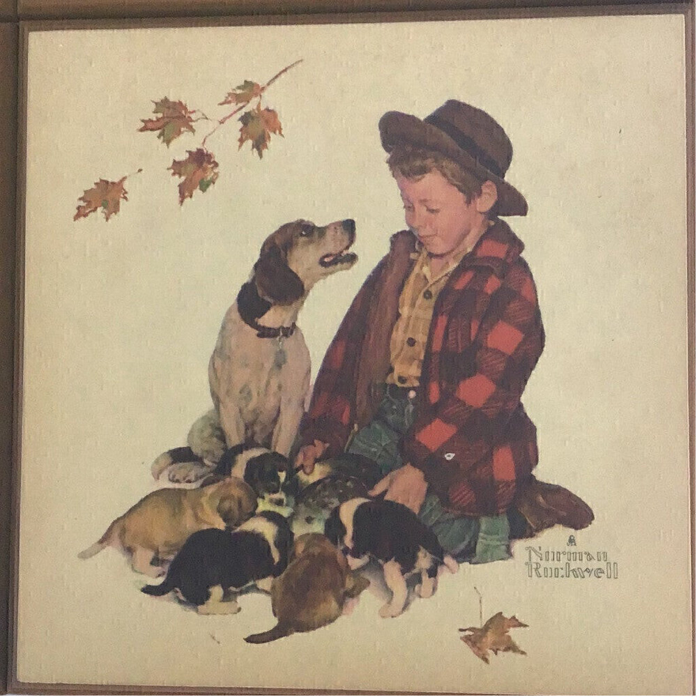 Norman Rockwell Vintage Boy and Dog wall Plaques -Set of 4 - Picture 5 of 7